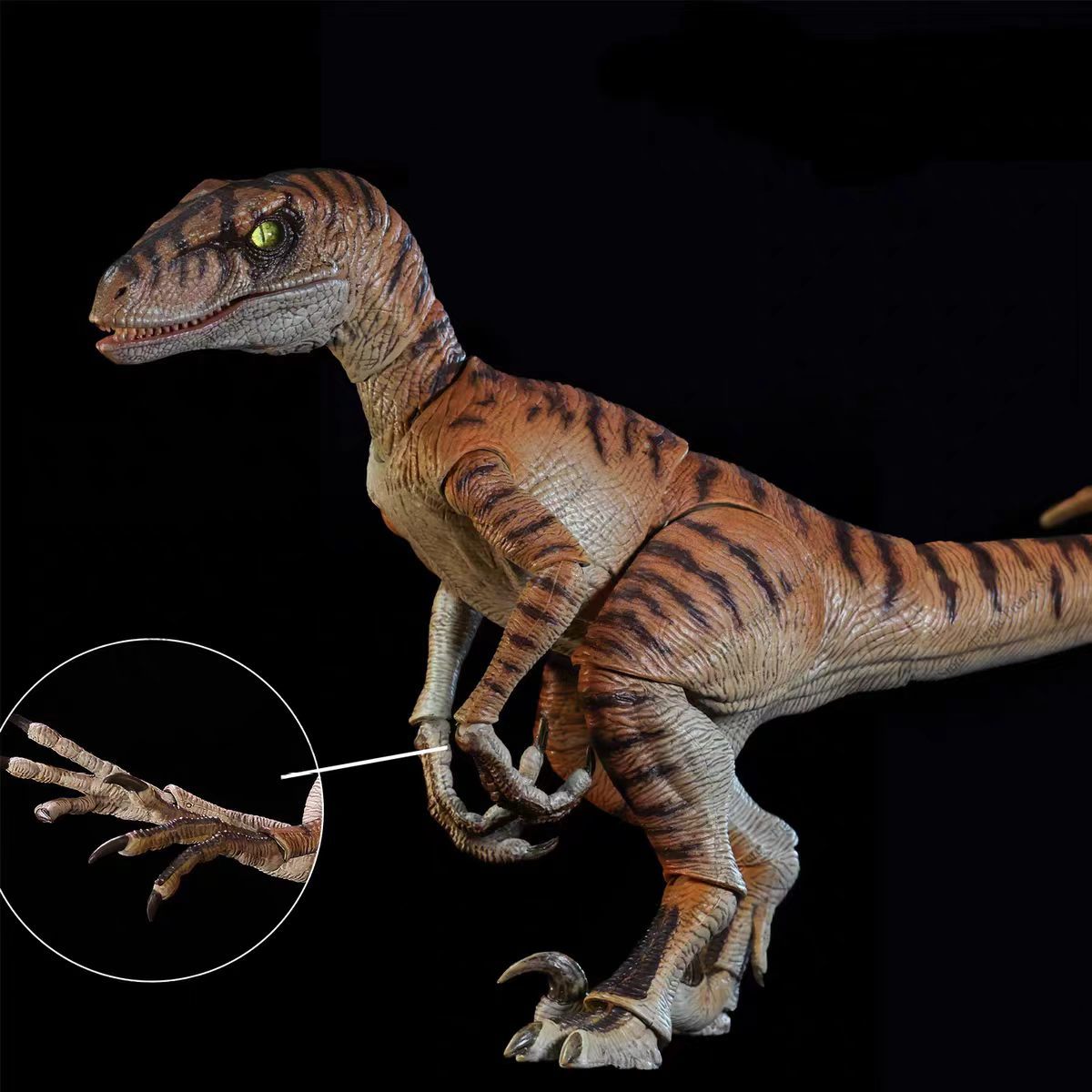 Brandneue NANMU Studio Jurassi – Model Kit Dinosaur Bandai Bewertung und Preis