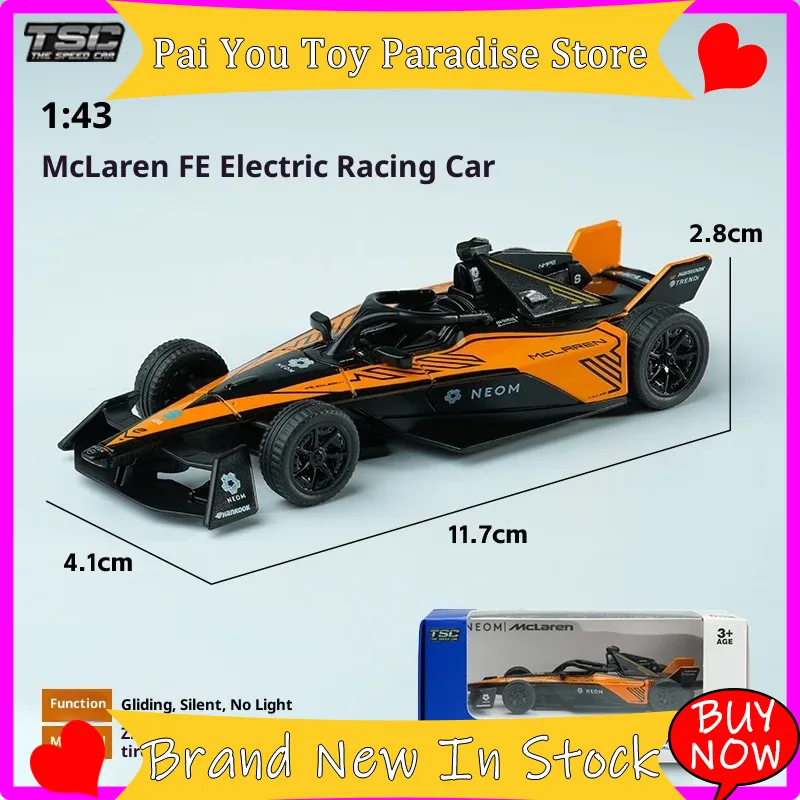 TSC Formel-Rennwagenmodell im  – Model Kit Formula 1 Bewertung und Preis